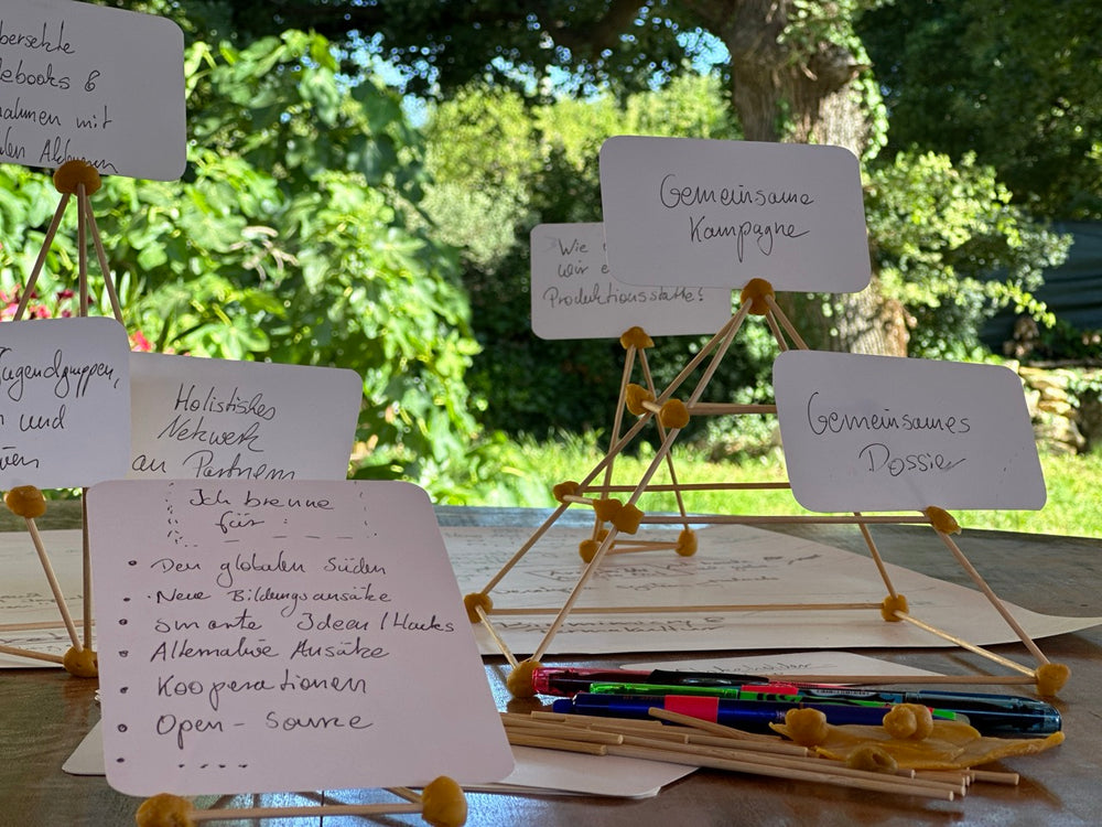 Transferring the permaculture principles to your own context