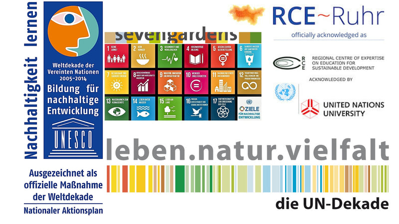 Solarpunk NOW bei den Vereinten Nationen