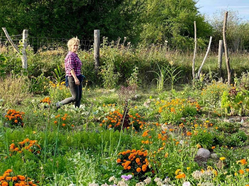 Auf zur Humusrevolution!