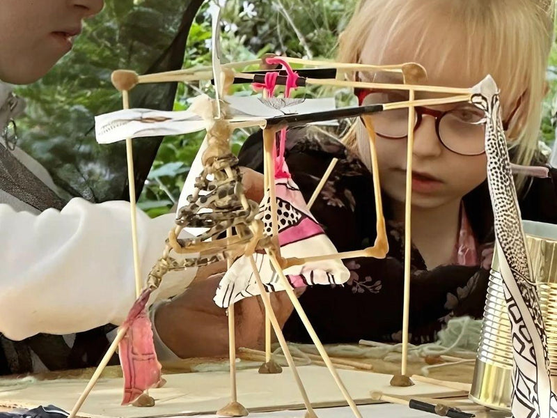 Lernwelten im Wandel: Wie Beenius haptische Bildung revolutioniert.