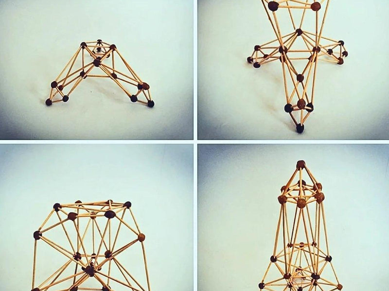 Architektur & Design: Die Intelligenz der Natur haptisch begreifen