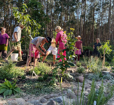 Media Asset Permaculture