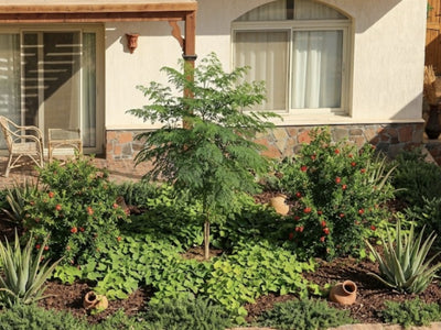Media Asset Permaculture