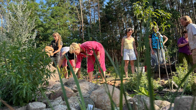 Media Asset Permaculture