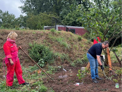 Media Asset Permaculture