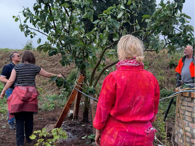 Media Asset Permaculture