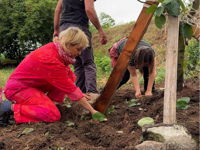 Media Asset Permaculture