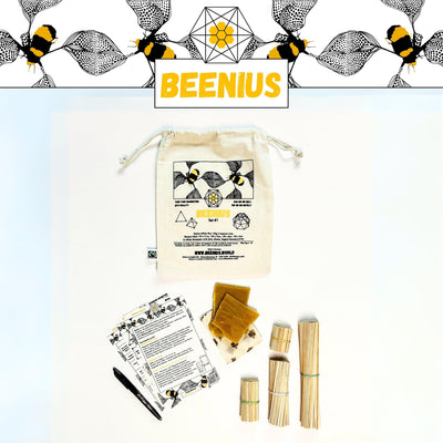 Beenius BAG (Set) - SolarPunkNow