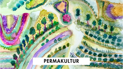 Media Asset Permaculture