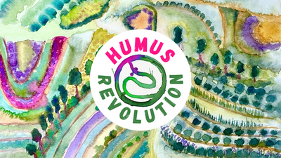 Media Asset Permaculture