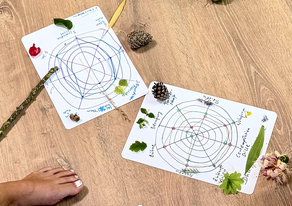 Two cards with drawn circles lying on the ground, with leaves, cones and other finds on them.