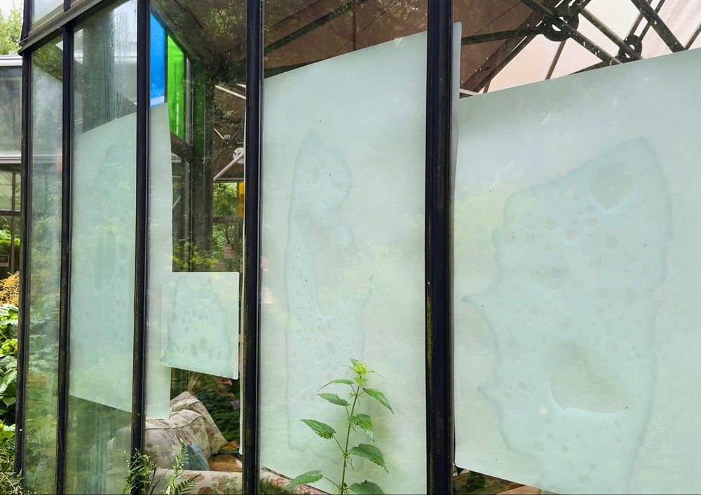 Large stone paper sheets clinging to the glass front of a greenhouse.