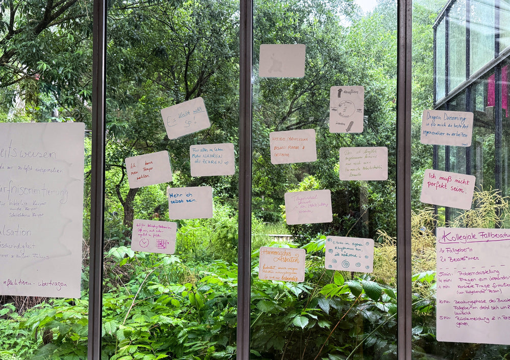 Many written cards spread across a tall glass front, trees behind it.