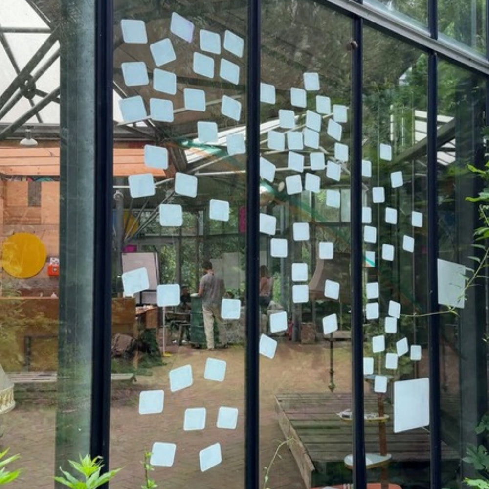 Große Boards haften an der Glasfront eines Gewächshauses, dahinter Grün.