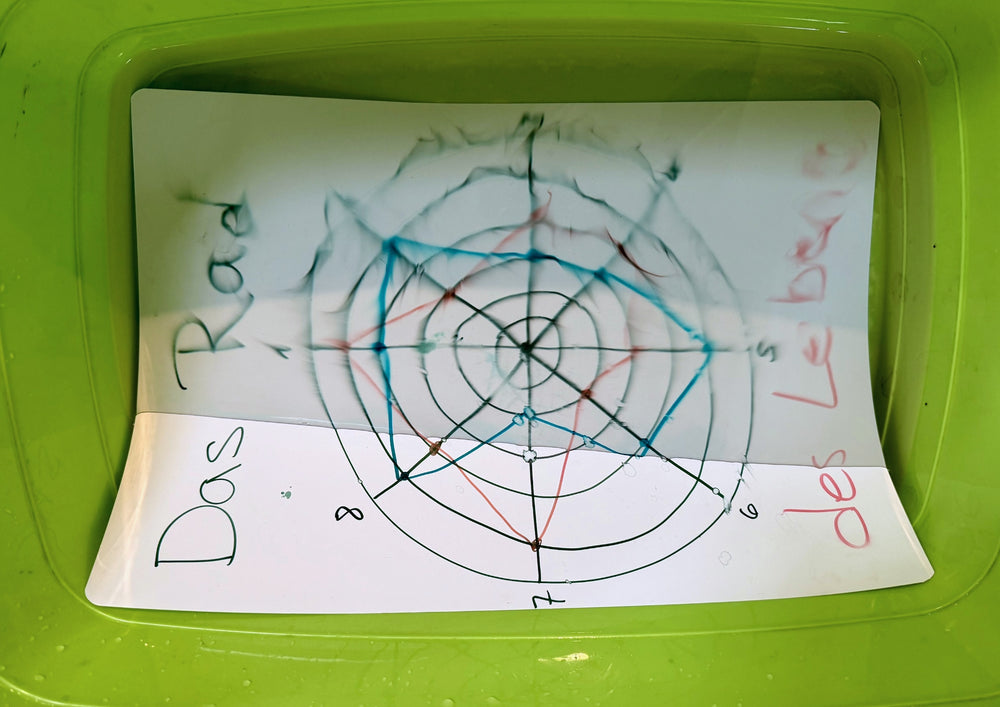 A written card lies in a green tub, the colour dissolves in streaks.