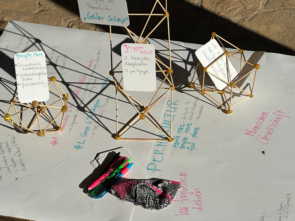 Teams designing a regenerative garden as a model in the workshop