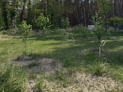 Media Asset Permaculture