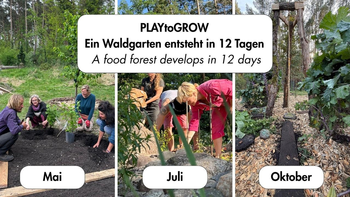 Spielerische Transformation mit der PLAYtoGROW Methode