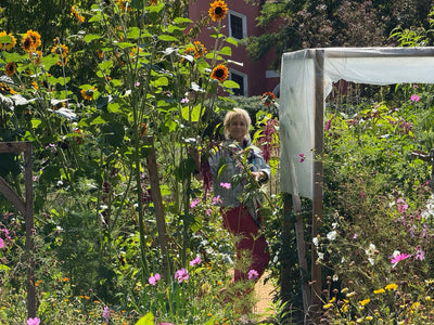 Media Asset Permaculture