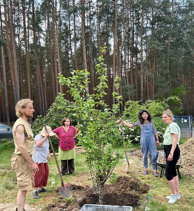 Media Asset Permaculture