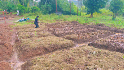 Media Asset Permaculture