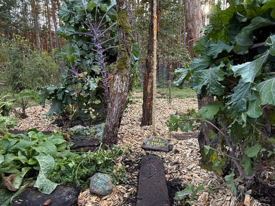 Media Asset Permaculture