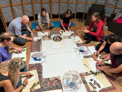Media Asset Workshops