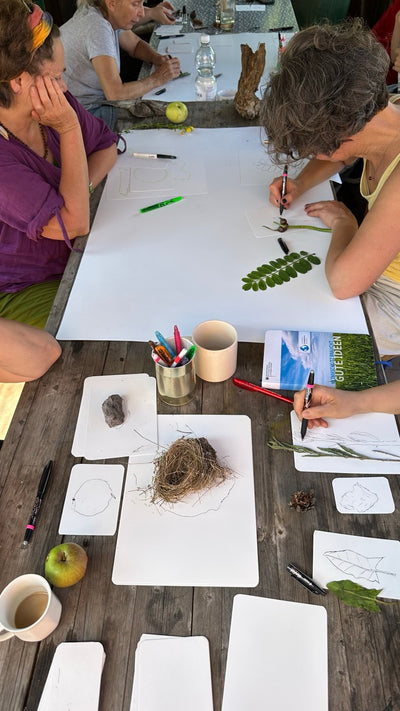Media Asset Workshops