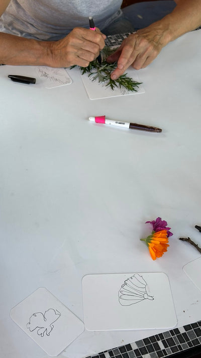 Media Asset Workshops