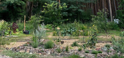 Media Asset Permaculture