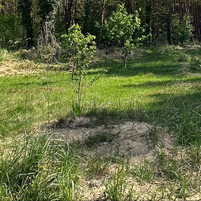Media Asset Permaculture
