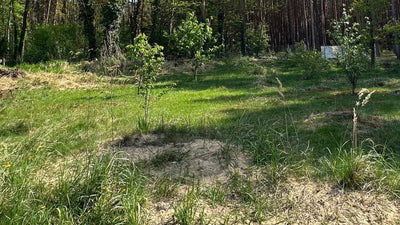 Media Asset Permaculture