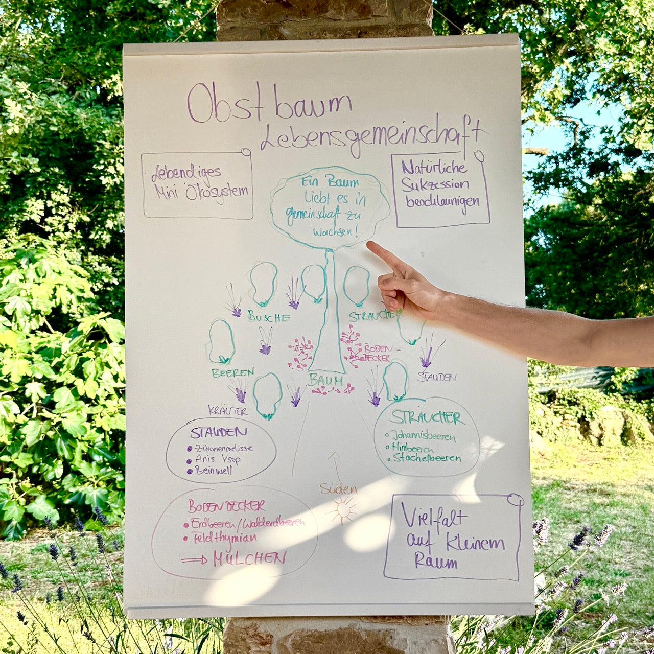 Set1: Infinity Stonepaper Boards BIG